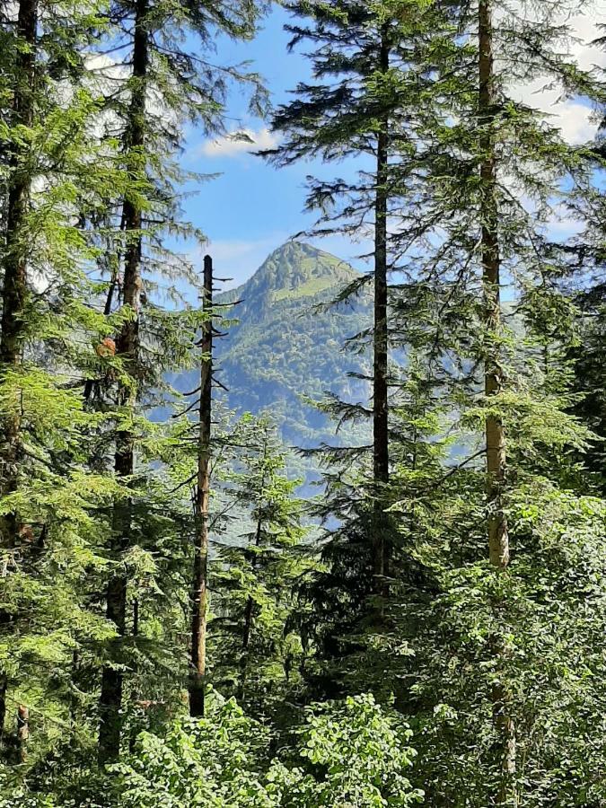 Kalipe Dolomiti Apartman Soffranco Kültér fotó