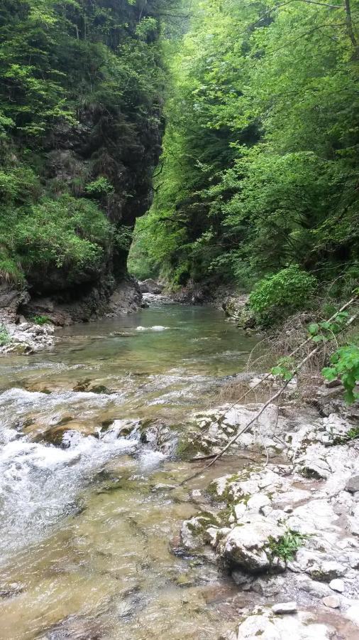 Kalipe Dolomiti Apartman Soffranco Kültér fotó